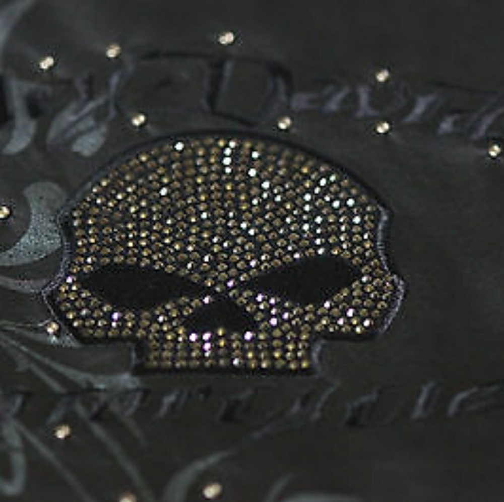 Harley Davidson jacket and chaps